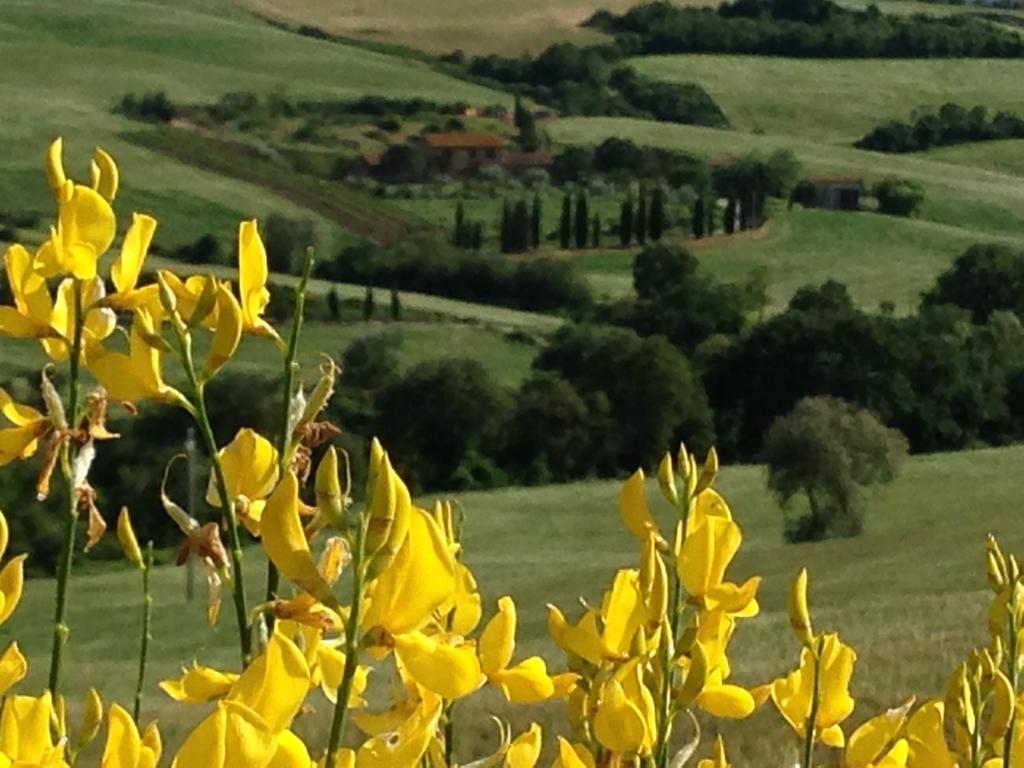 Agriturismo Santa Maria Pienza Exterior photo