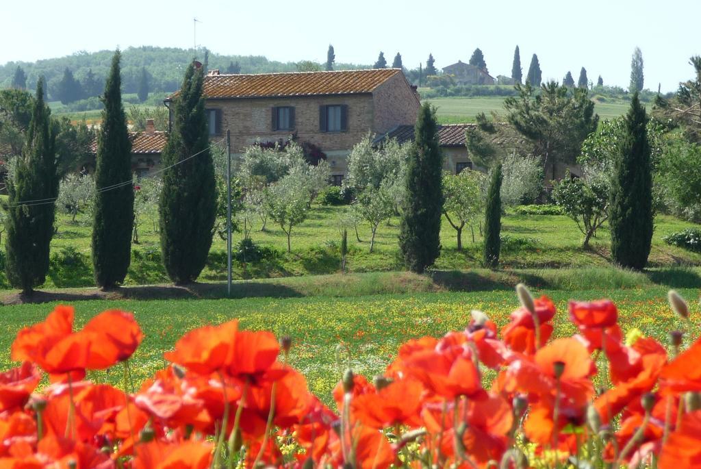 Agriturismo Santa Maria Pienza Exterior photo