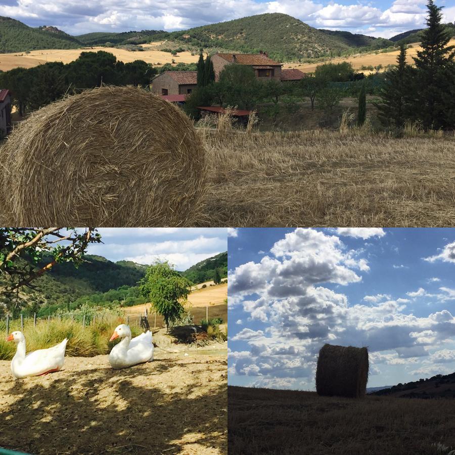 Agriturismo Santa Maria Pienza Exterior photo